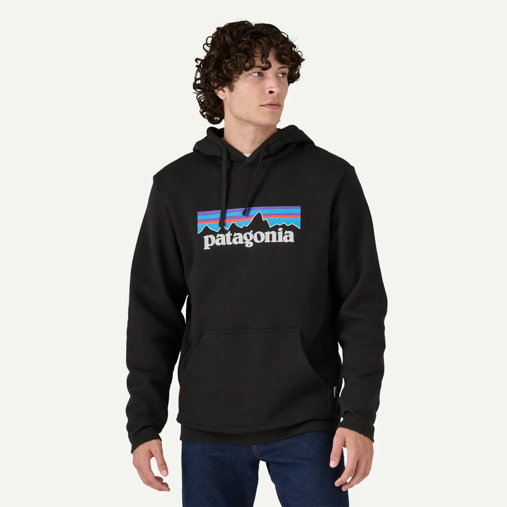 Patagonia Patagonia M's P-6 Logo Uprisal Hoody Black M