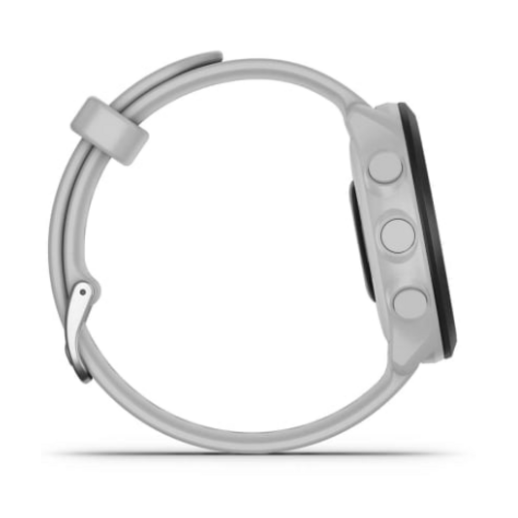 Garmin Garmin, Forerunner 55, Watch,  Whitestone