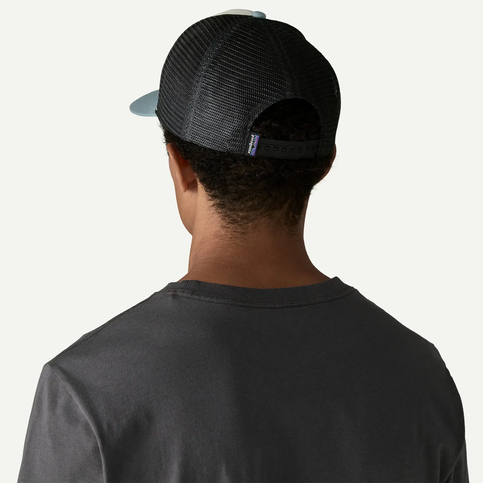 Patagonia Patagonia Fitz Roy Trout Trucker Hat White w/Blue Sage ALL