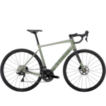 Trek TREK - Domane AL 5 Gen 4 - 58 - Lichen Green