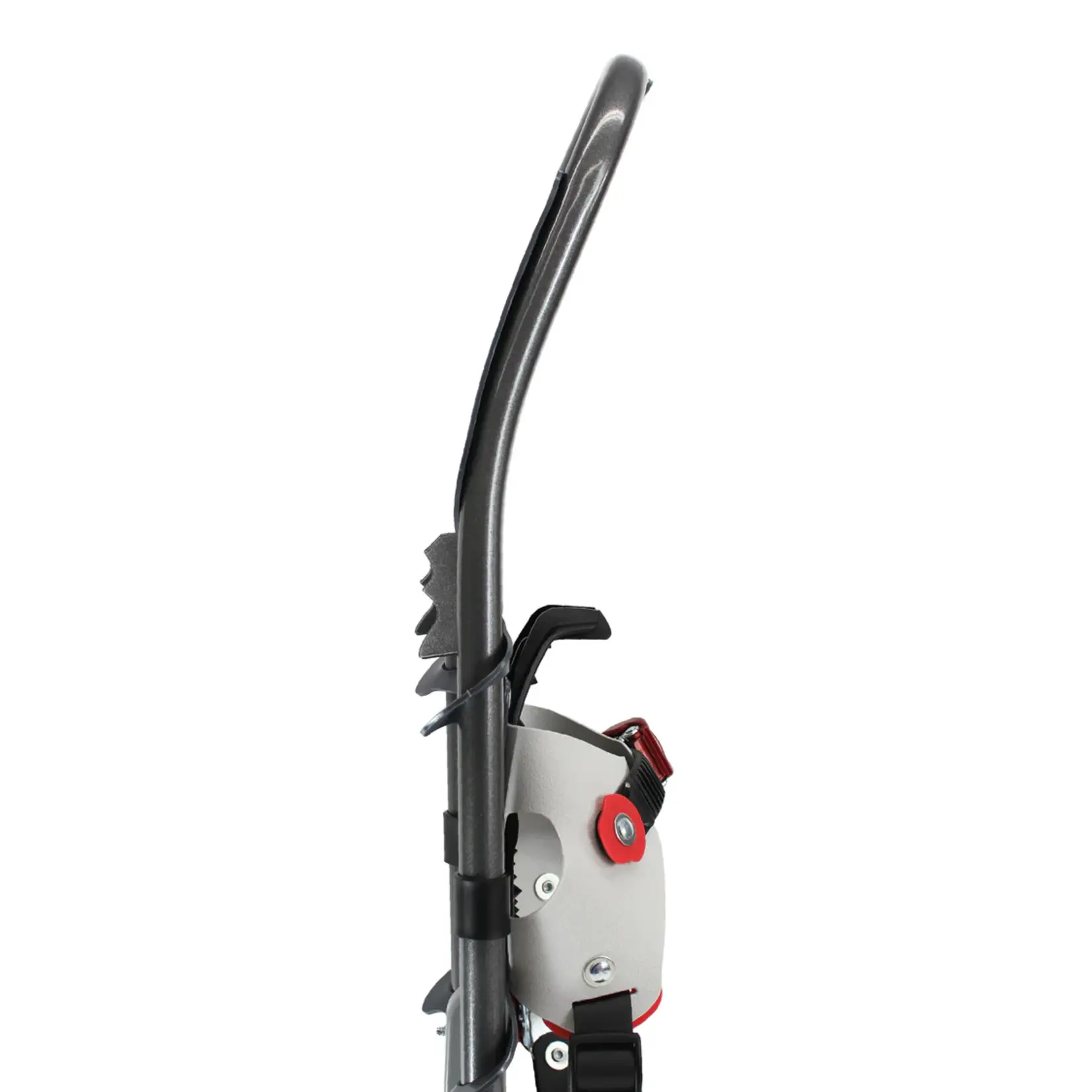 Faber Snowshoe, Faber, S-Line Trail,  5.5"x31"