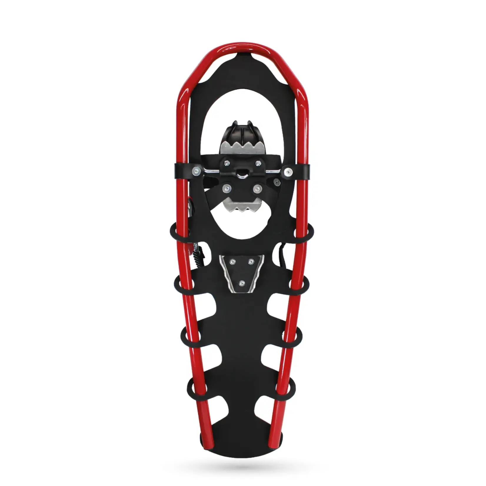 Faber Snowshoe, Faber, North  Lander,  10"x34"