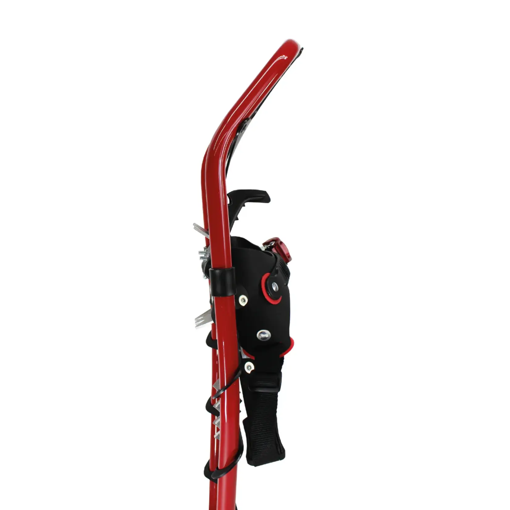 Faber Snowshoe, Faber, North  Lander,  10"x34"