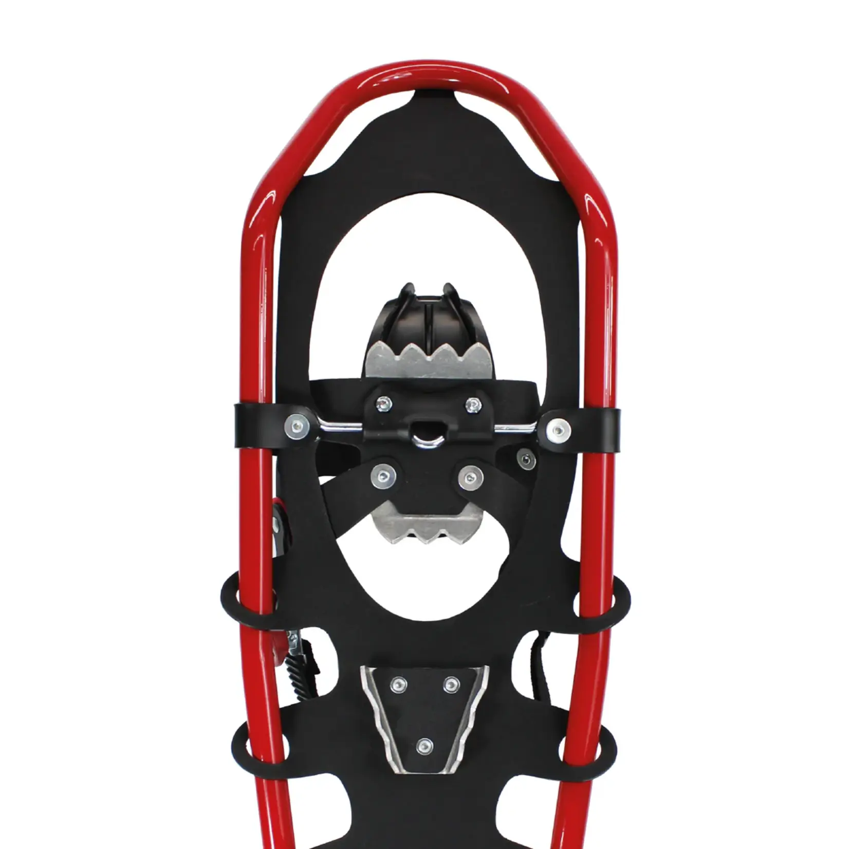 Faber Snowshoe, Faber, North  Lander,  10"x34"