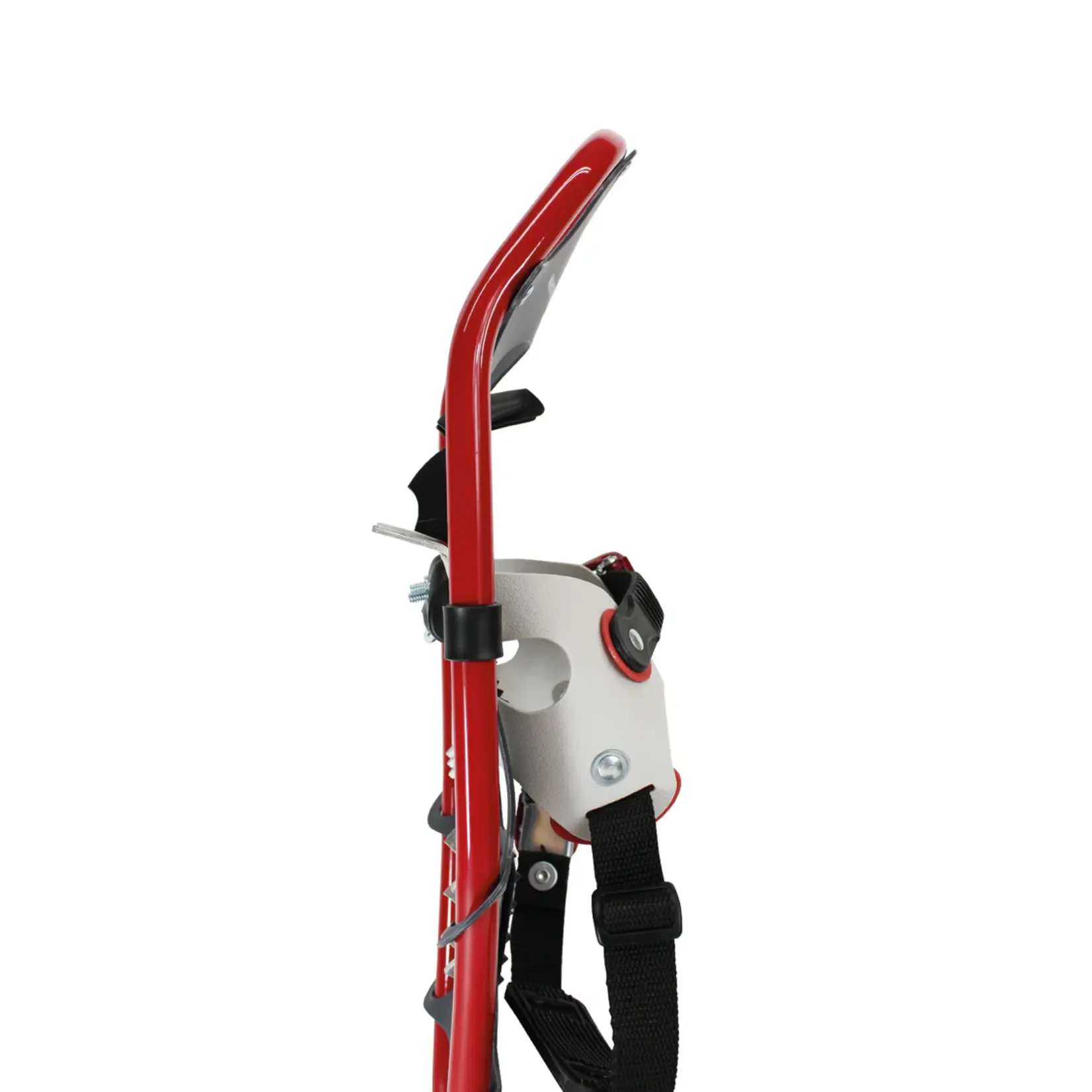 Faber Snowshoe, Faber, White Lander,  7.5"x26"