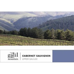 Wine Galil Mountain Cabernet Sauvignon Upper Galilee Kosher 2023
