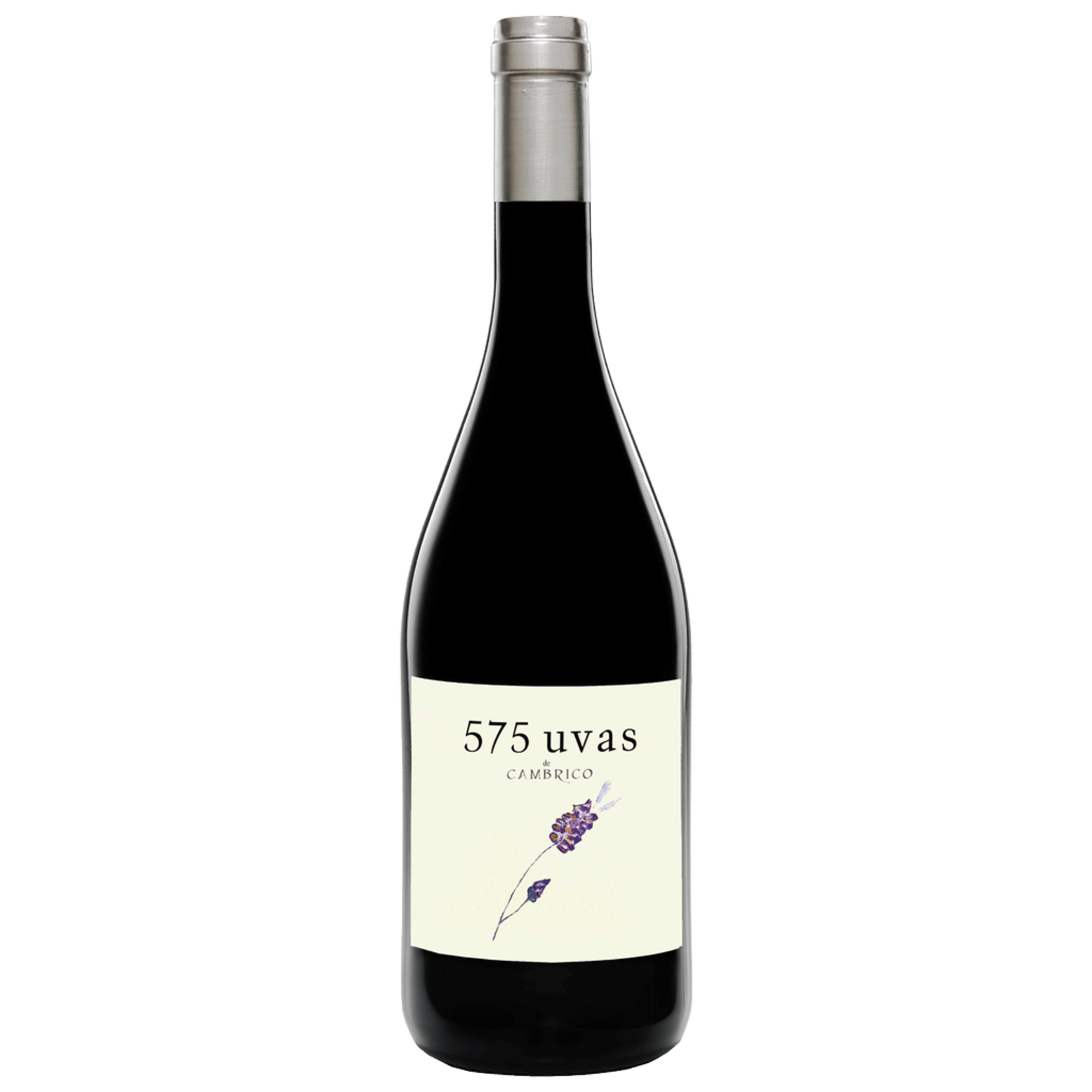 Wine Cambrico 575 Uvas Salamanca 2018