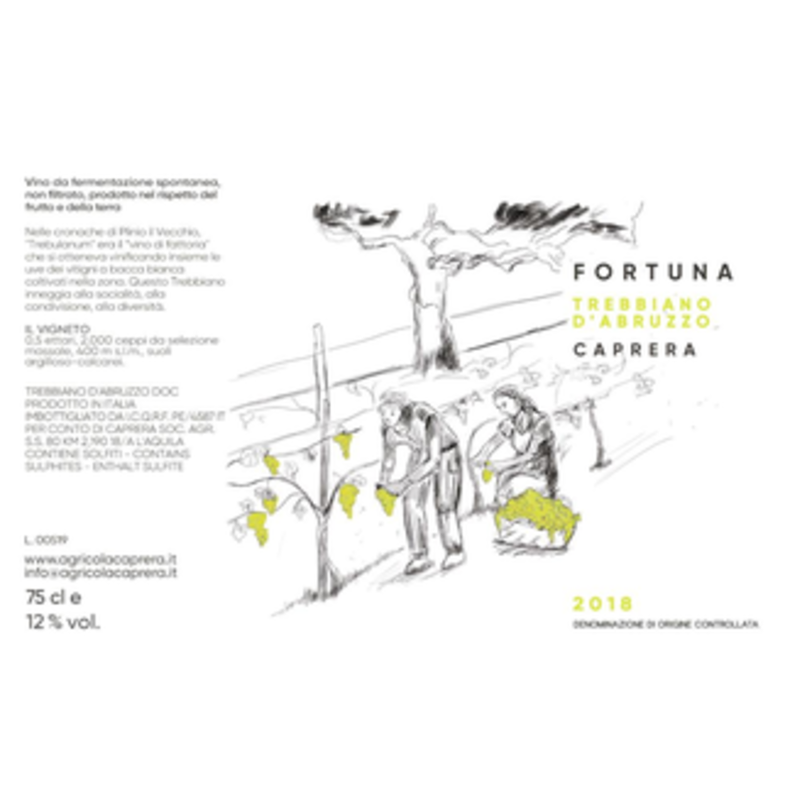 Wine 'Fortuna' Caprera Trebbiano d'Abruzzo DOC 2019