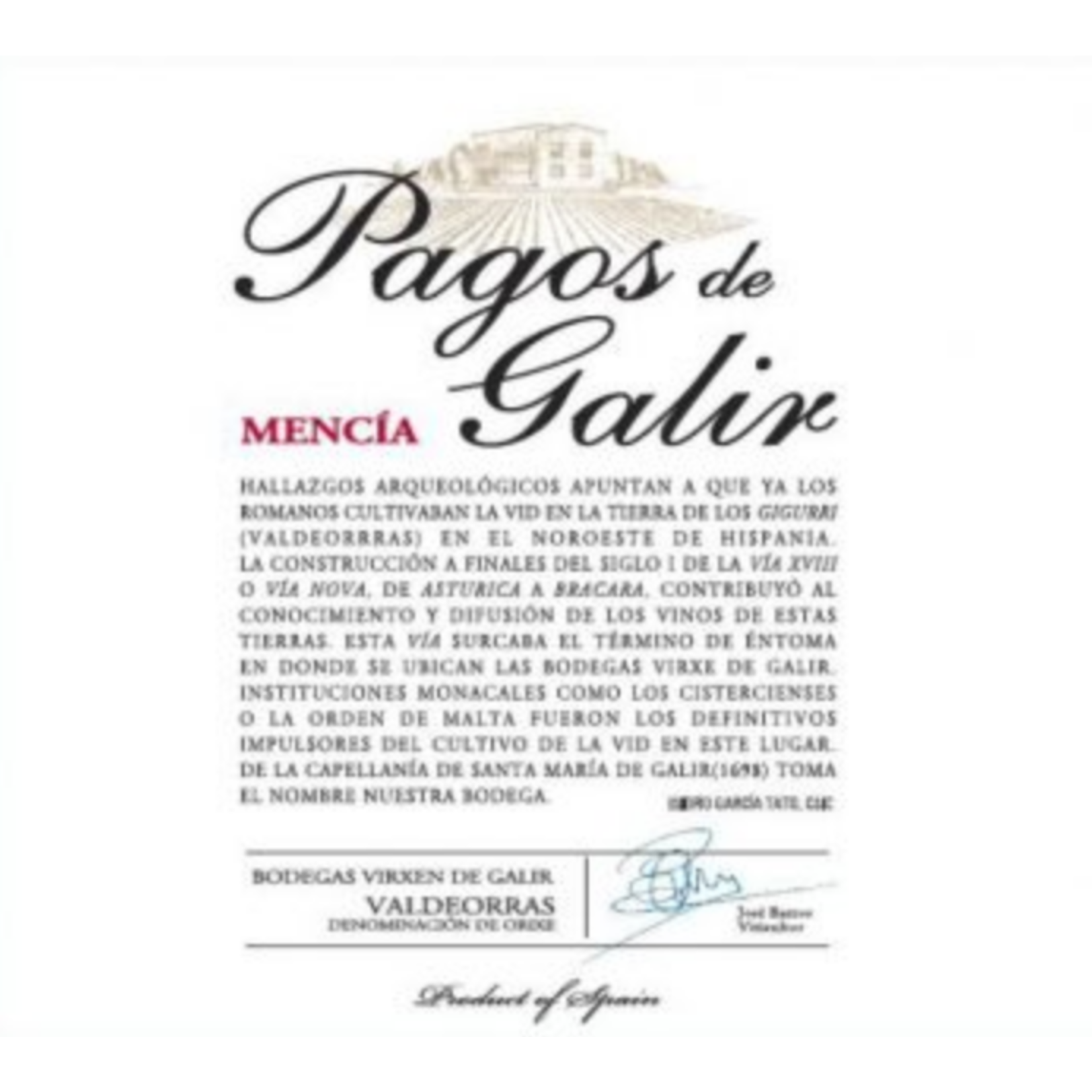 Wine Valdeorras Tinto 'Pagos del Galir' Mencia Virgen del Galir 2017