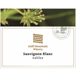Wine Galil Mountain Winery Sauvignon Blanc Galilee Kosher 2020