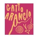 Wine Gatto Arancio Marche Italian Orange Wine 2021