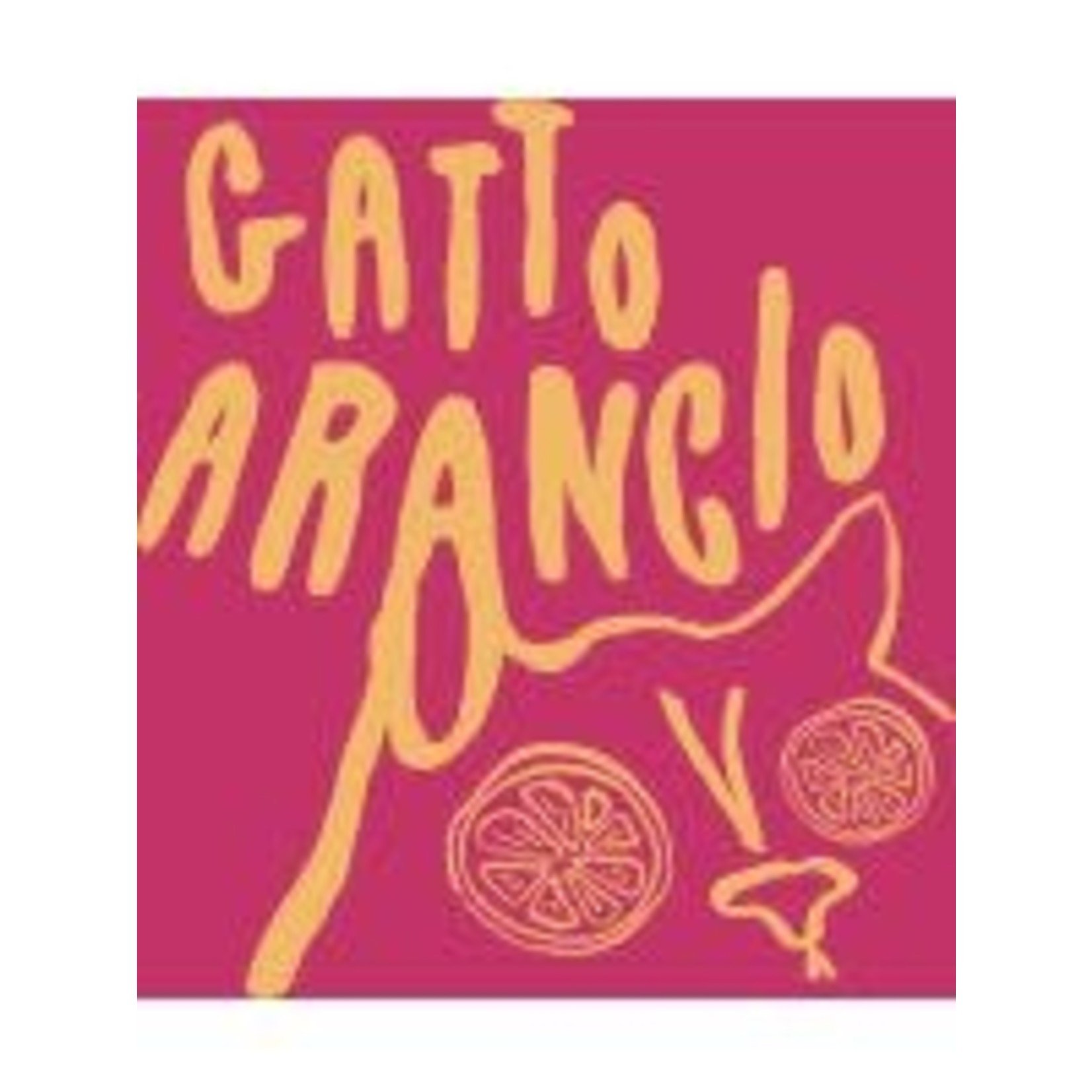 Wine Gatto Arancio Marche Italian Orange Wine 2021