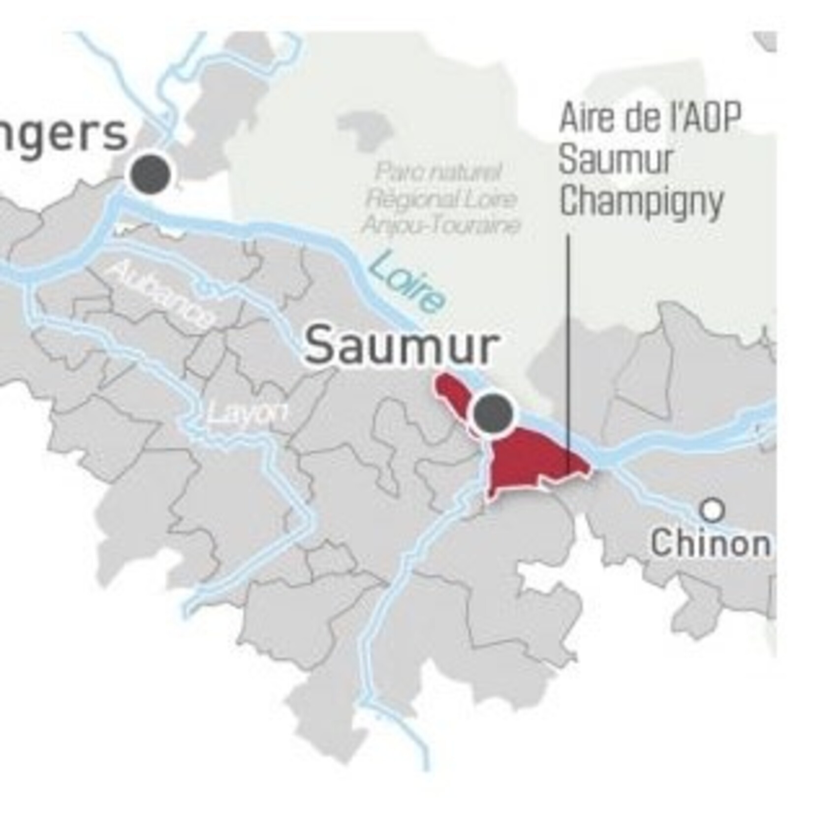Wine Les Justices Saumur-Champigny Palsambleu 2021