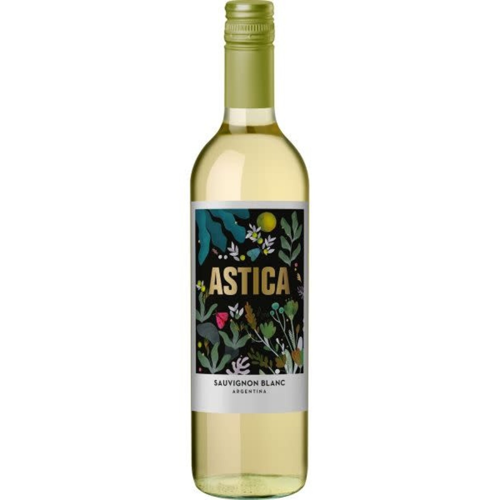 Wine Astica Lujan de Cuyo Sauvignon Blanc 2025