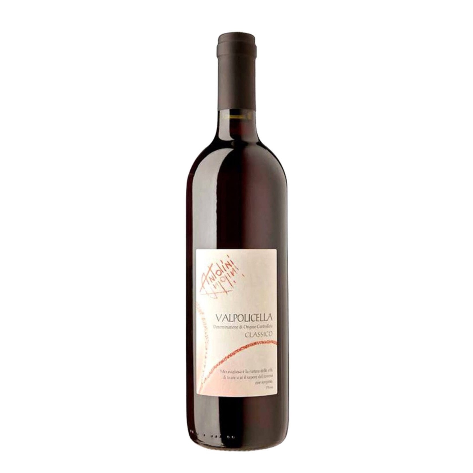 Wine Antolini Valpolicella Classico 2021