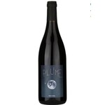 Wine Bruno Dubois Saumur Champigny Plume 2021