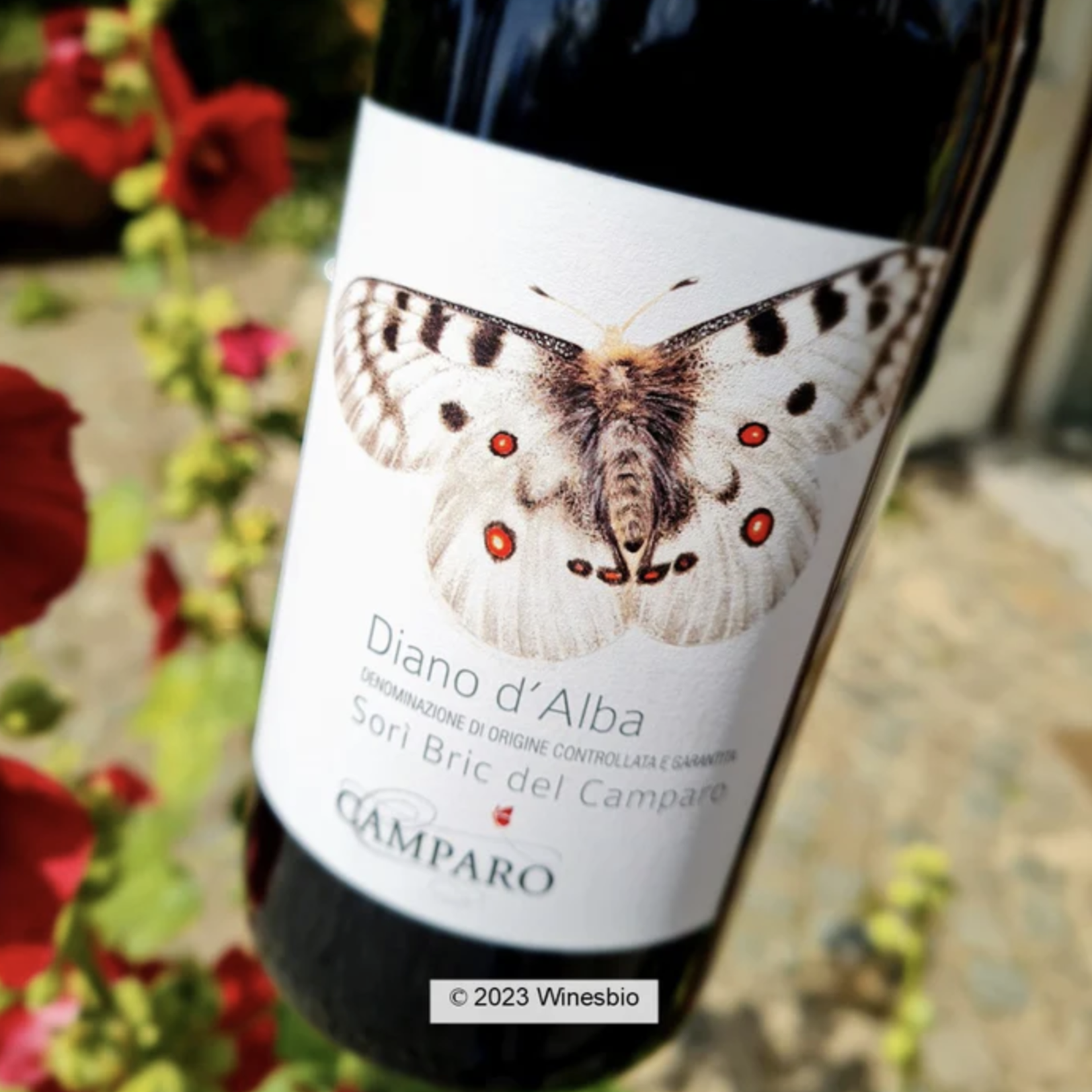 Wine Camparo Dolcetto Diano d'Alba Sori Bric del Camparo 2021