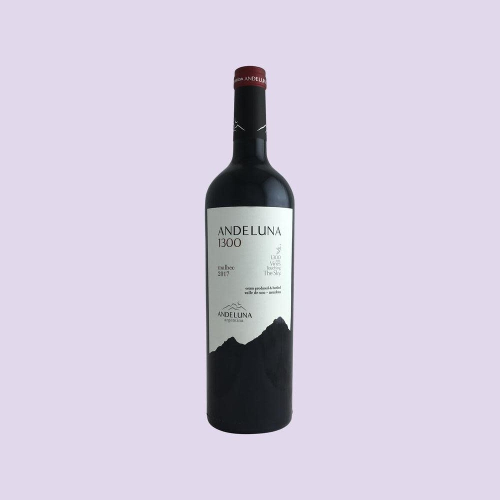 Wine Andeluna 1300 Malbec Valle de Uco 2022