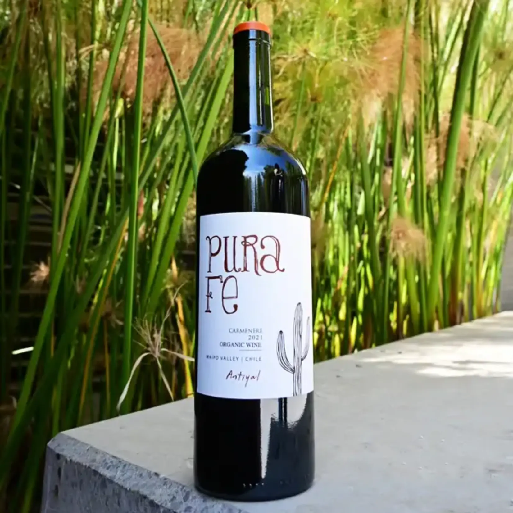 Wine Pura Fe Antiyal Maipo Valley Carmenere 2021