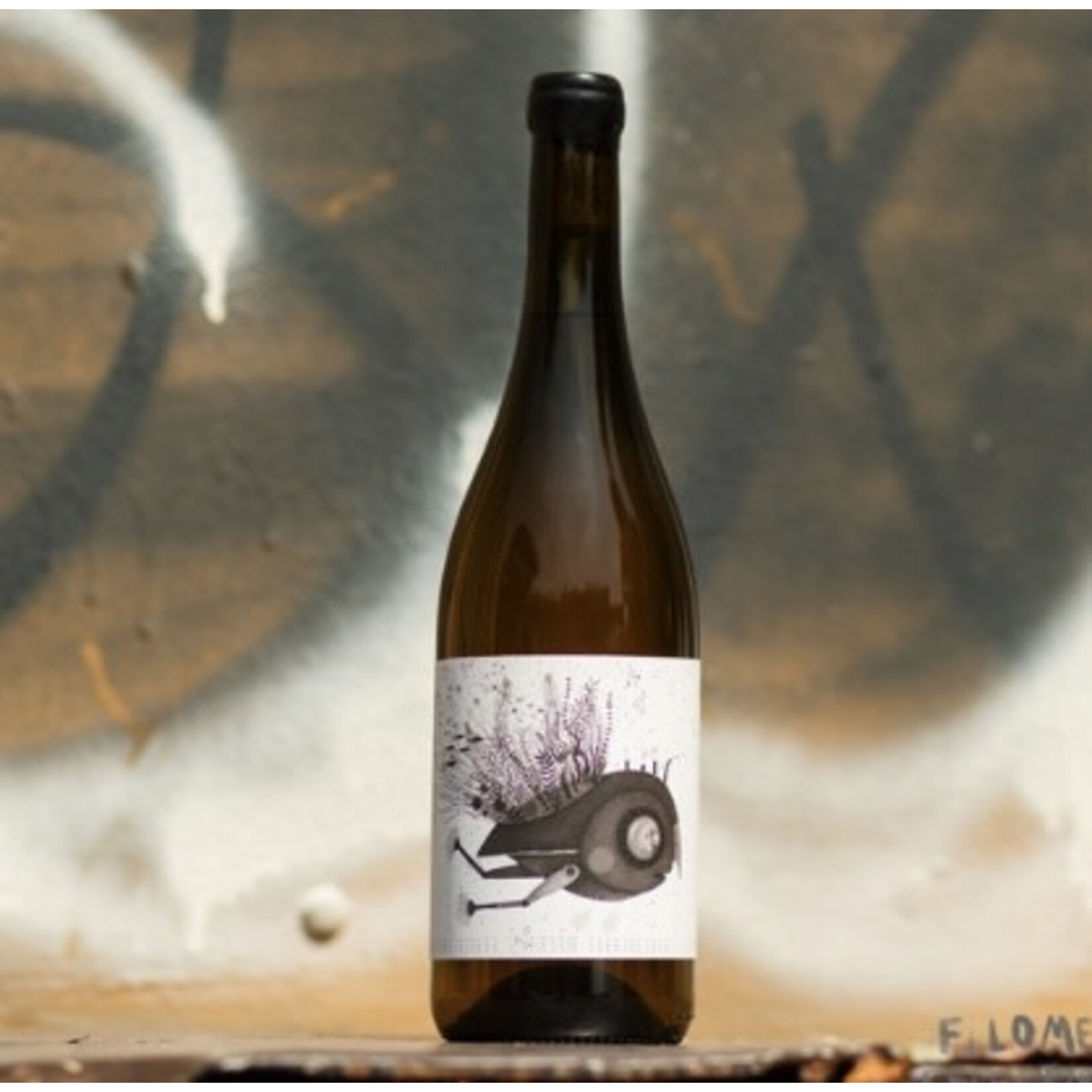 Wine Podere San Biagio Trebbiano 'Anfora' 2022