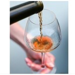 Wine New Arrivals 6 bottles Assorted Orange Wine / Pet Nat “Jeff’s Joy” 6-pack