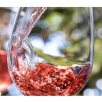 Wine Chillable Red 4-pack in Royal Tote Bag