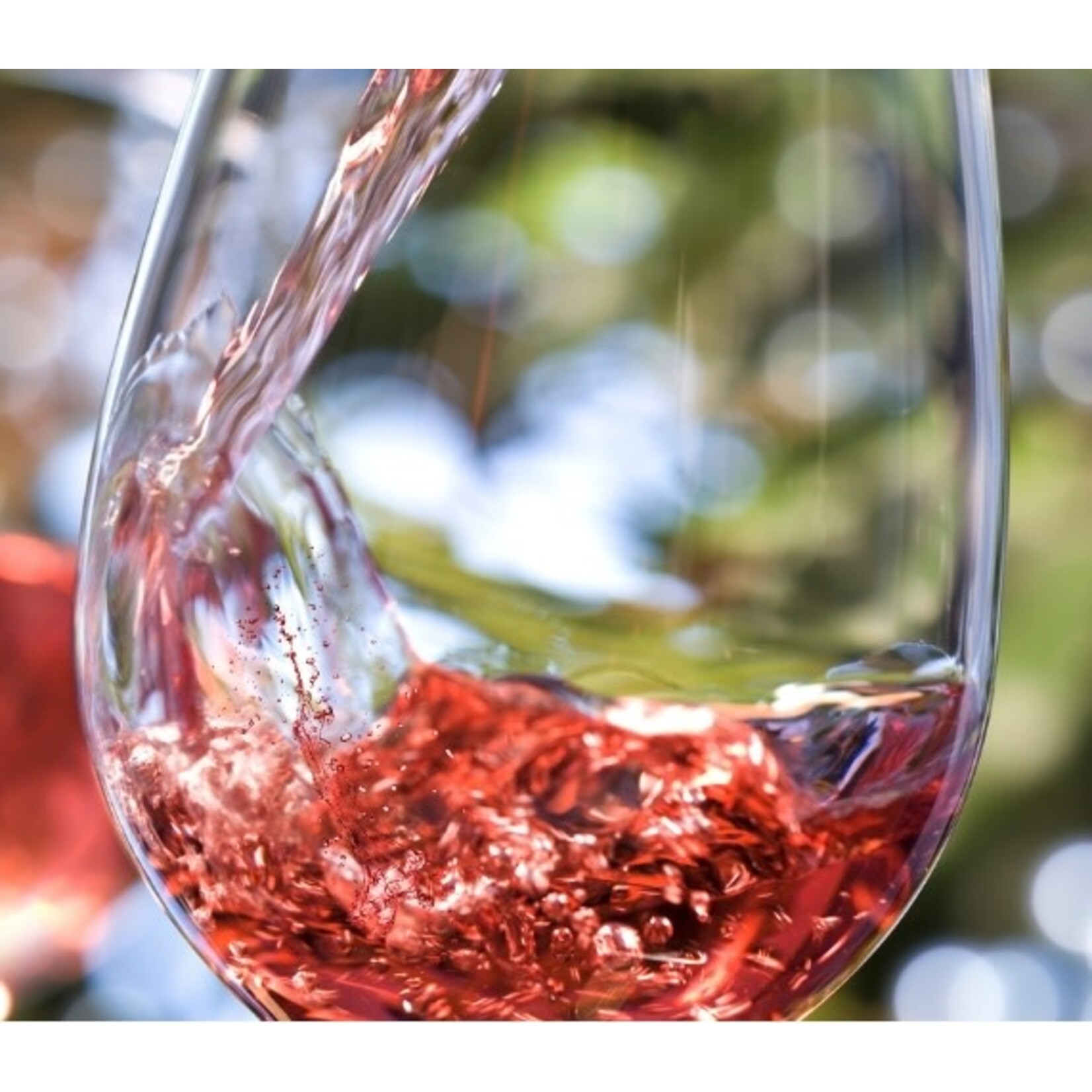 Wine Chillable Red 4-pack in Royal Tote Bag