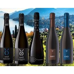 Sparkling Sparkling Italian Wine Collection 5pack