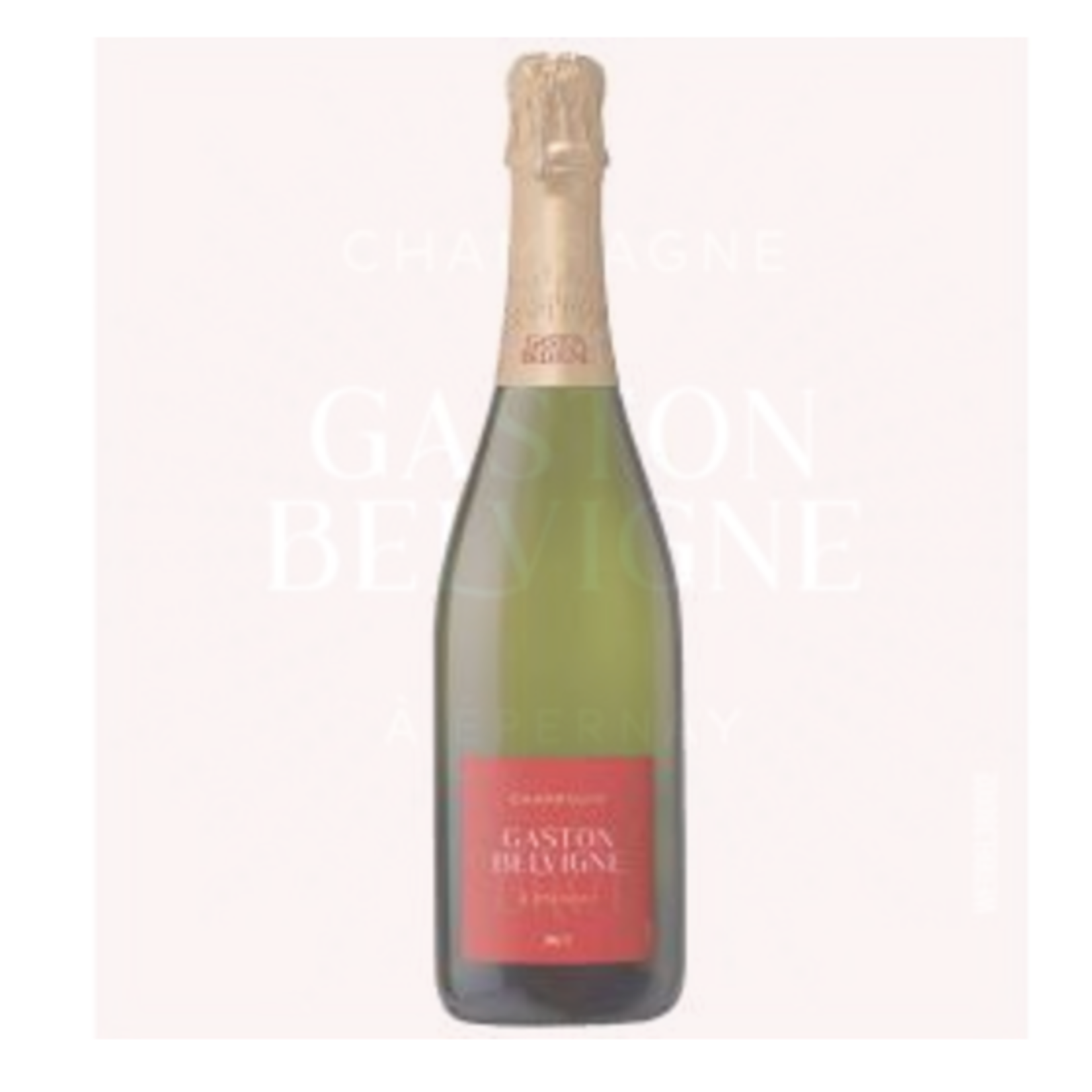 Sparkling Champagne Gaston Belvigne Champagne Brut A Epernay NV