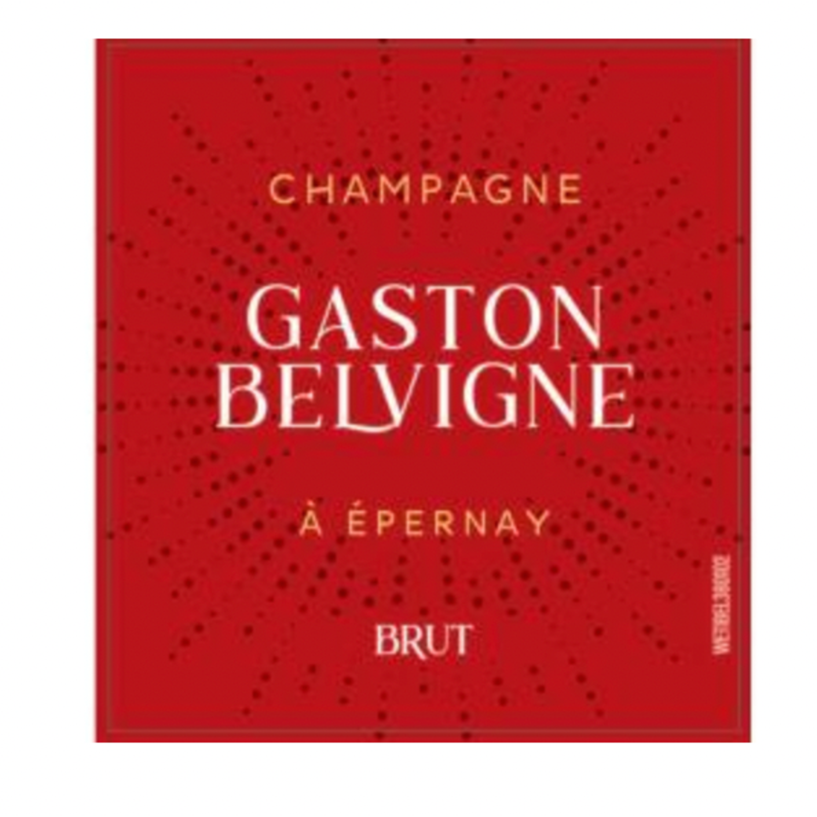 Sparkling Champagne Gaston Belvigne Champagne Brut A Epernay NV