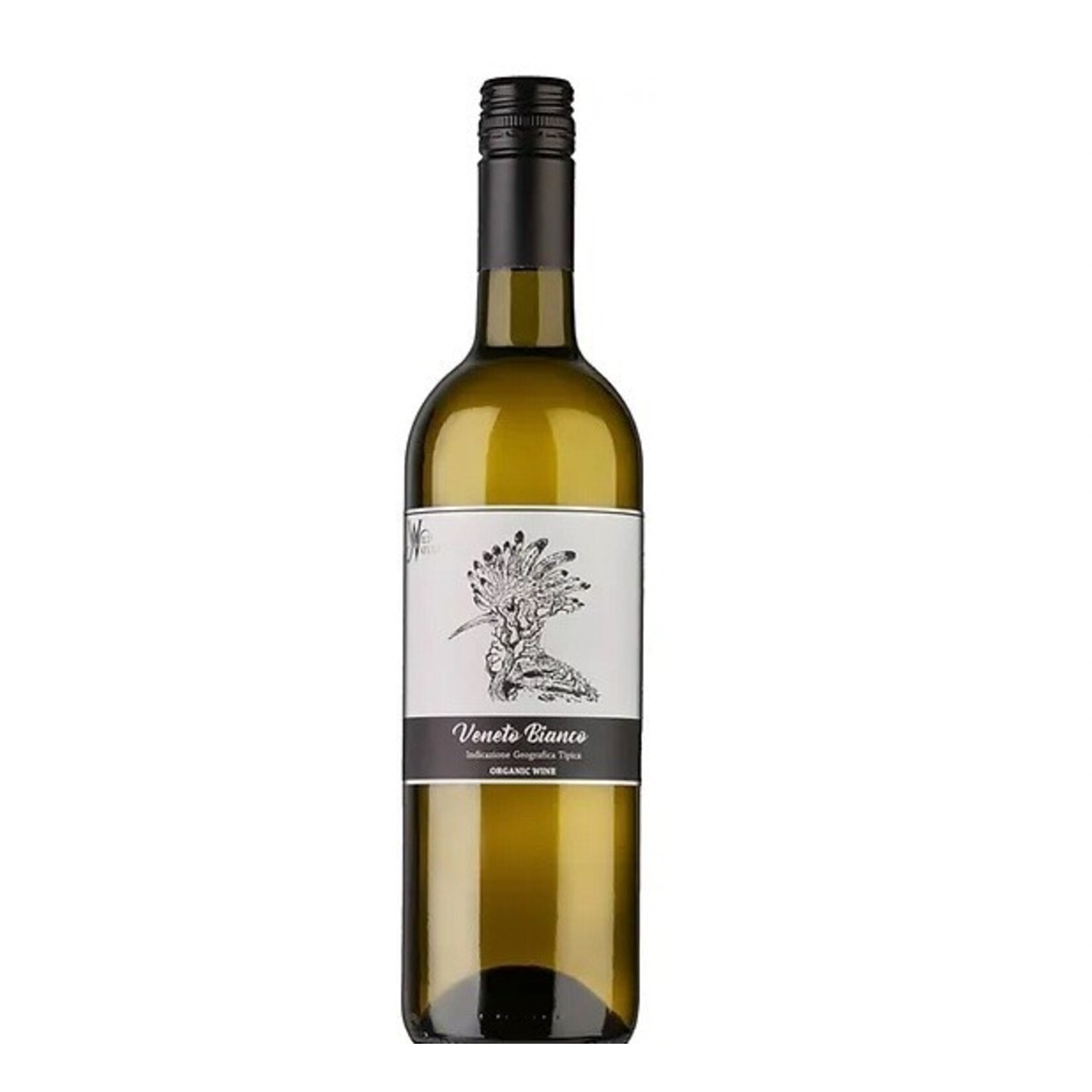 Wine Wild Nature Veneto Bianco NV