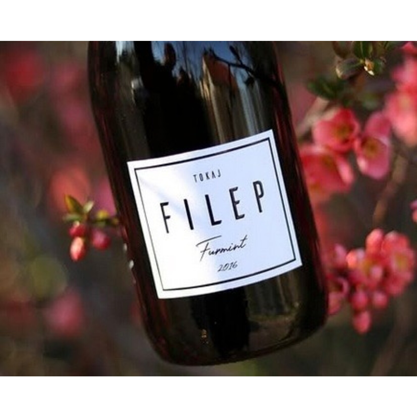 Wine Filep Tokaji Furmint 2017