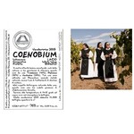 Wine Monastero Suore Cistercensi Coenobium Lazio Bianco 2023