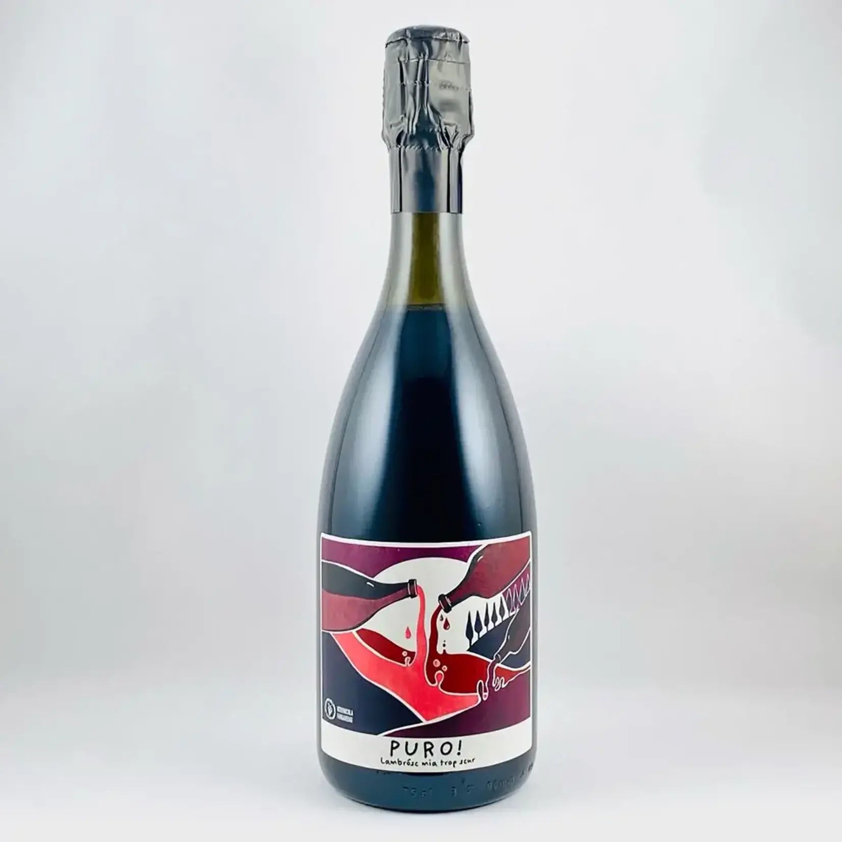 Wine Vitivinicola Fangareggi  'Puro! Rosso' Lambrusco dell'Emilia