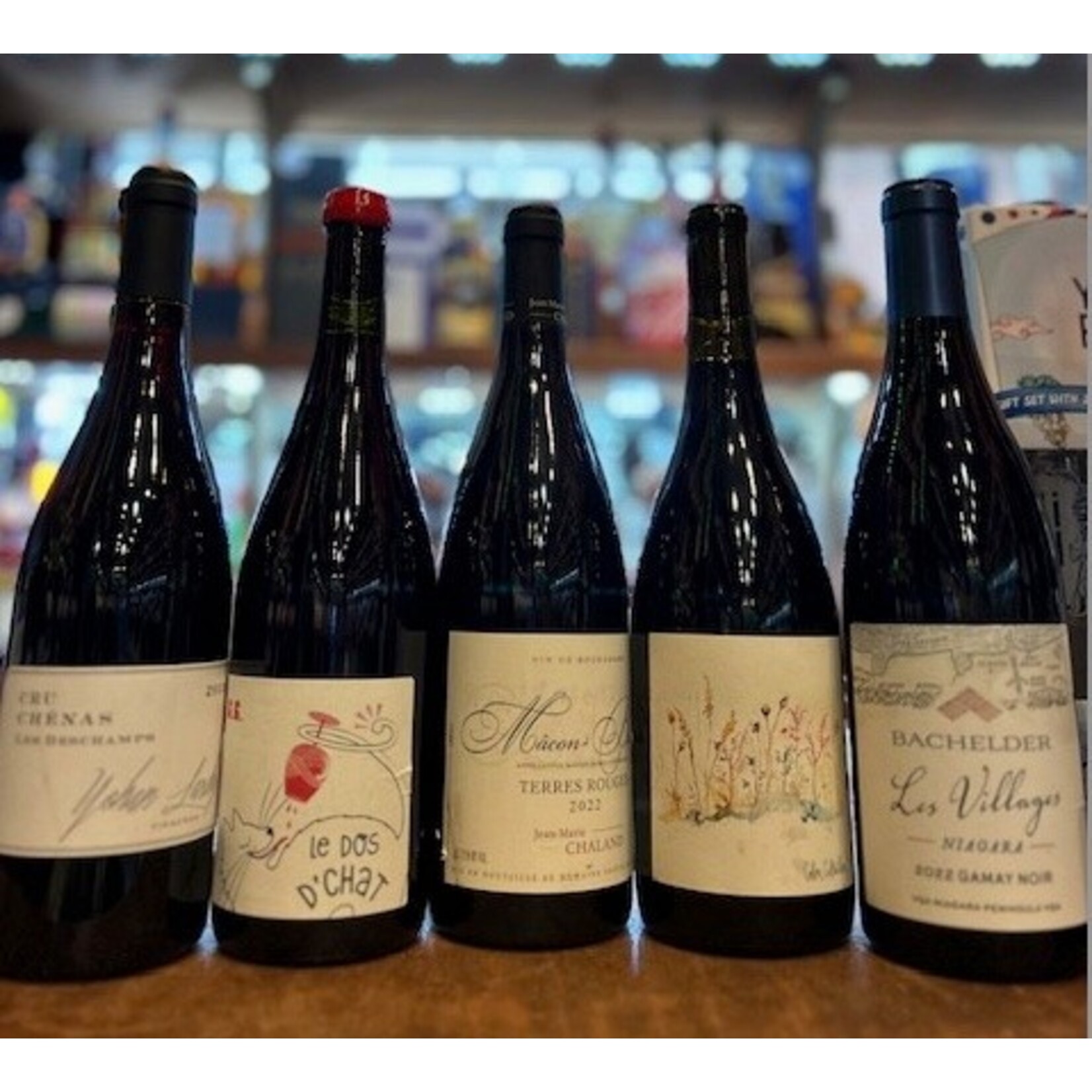 Wine Give Me Gamay 5-bottle-pack