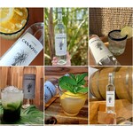 Spirits Cachaca Canaviais Cachaca Brazil