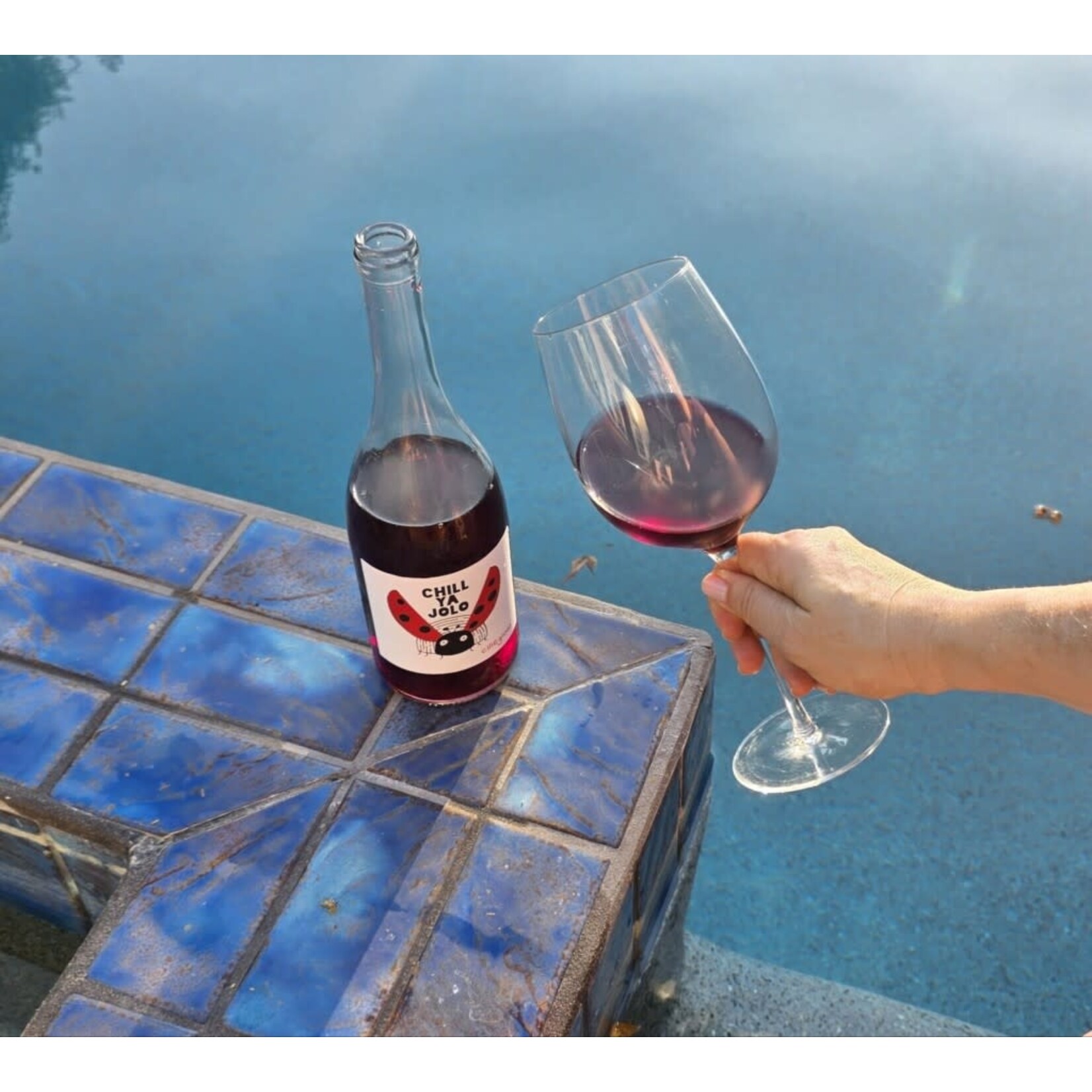 Wine Badia a Coltibuono 'Chill Ya Jolo' Toscana Ciliegiolo 2024