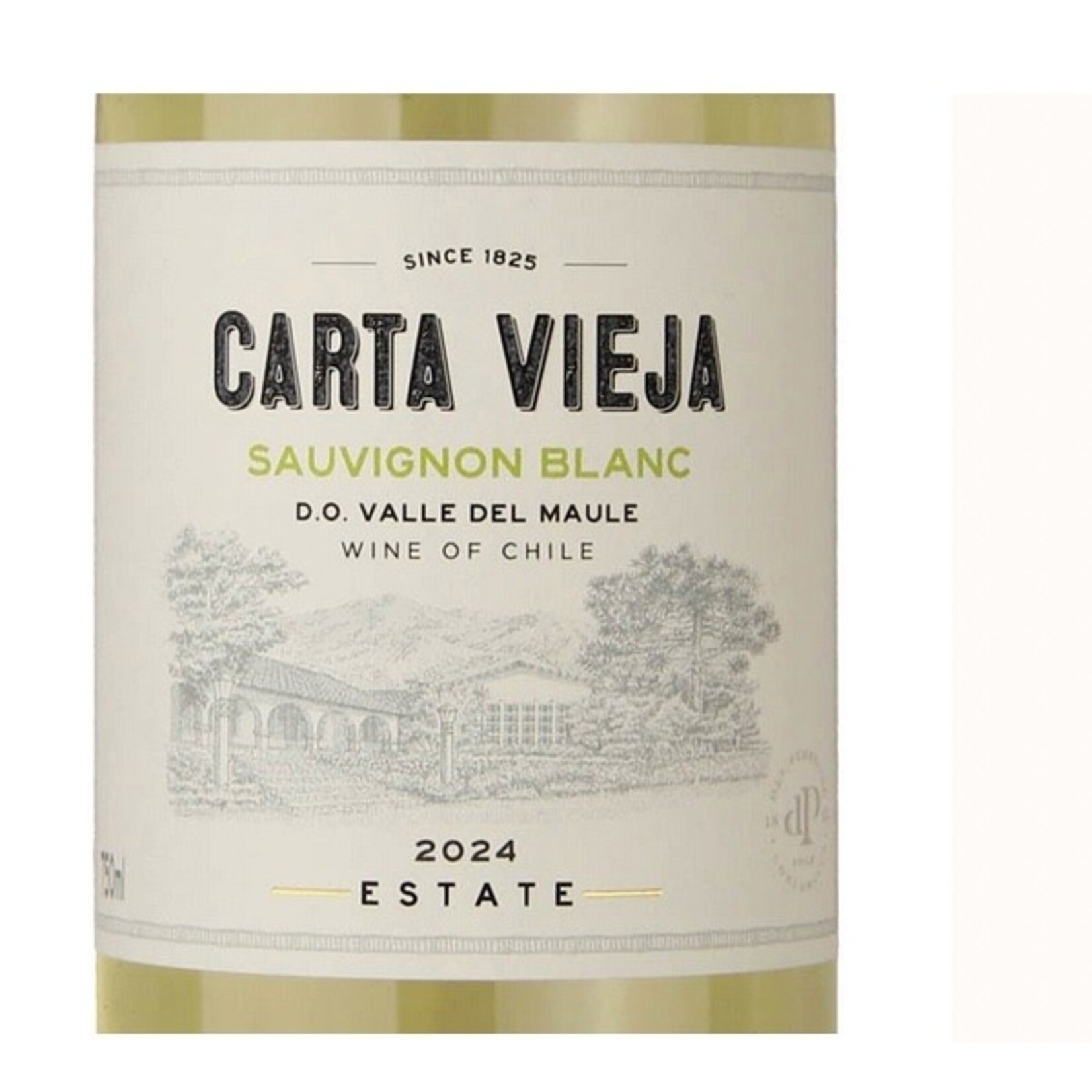 Wine Carta Vieja Sauvignon Blanc 2024