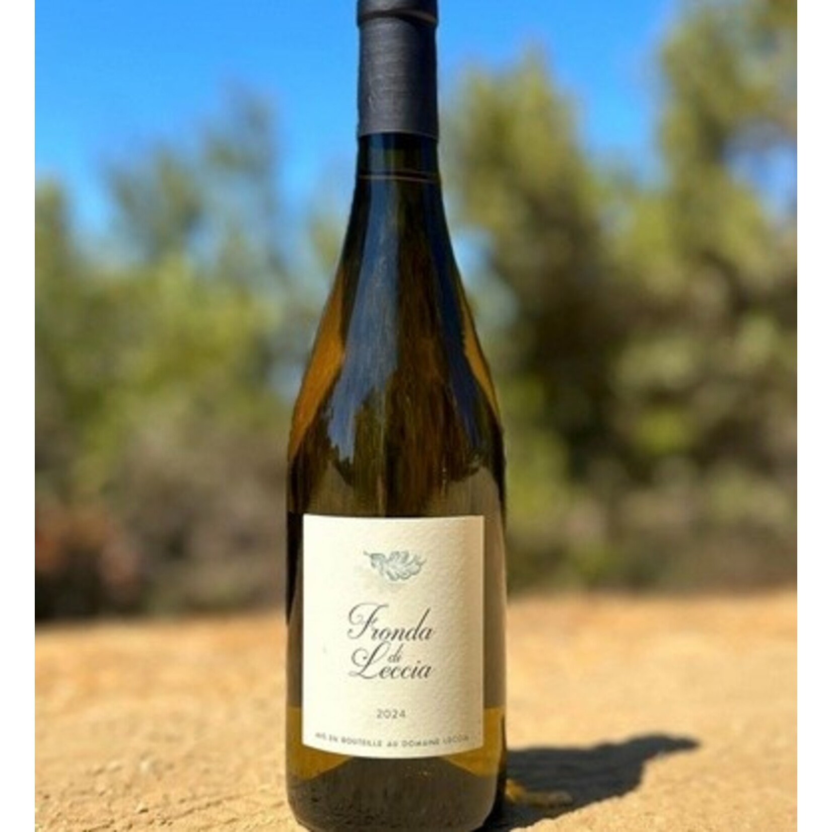 Wine Fronda di Leccia IGP Blanc 2024