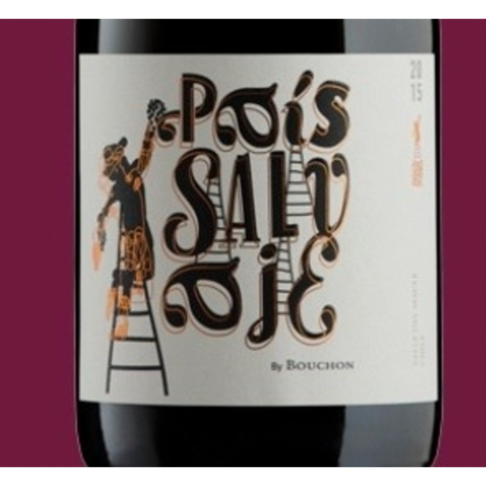 Wine J Bouchon Pais Salvaje 2021