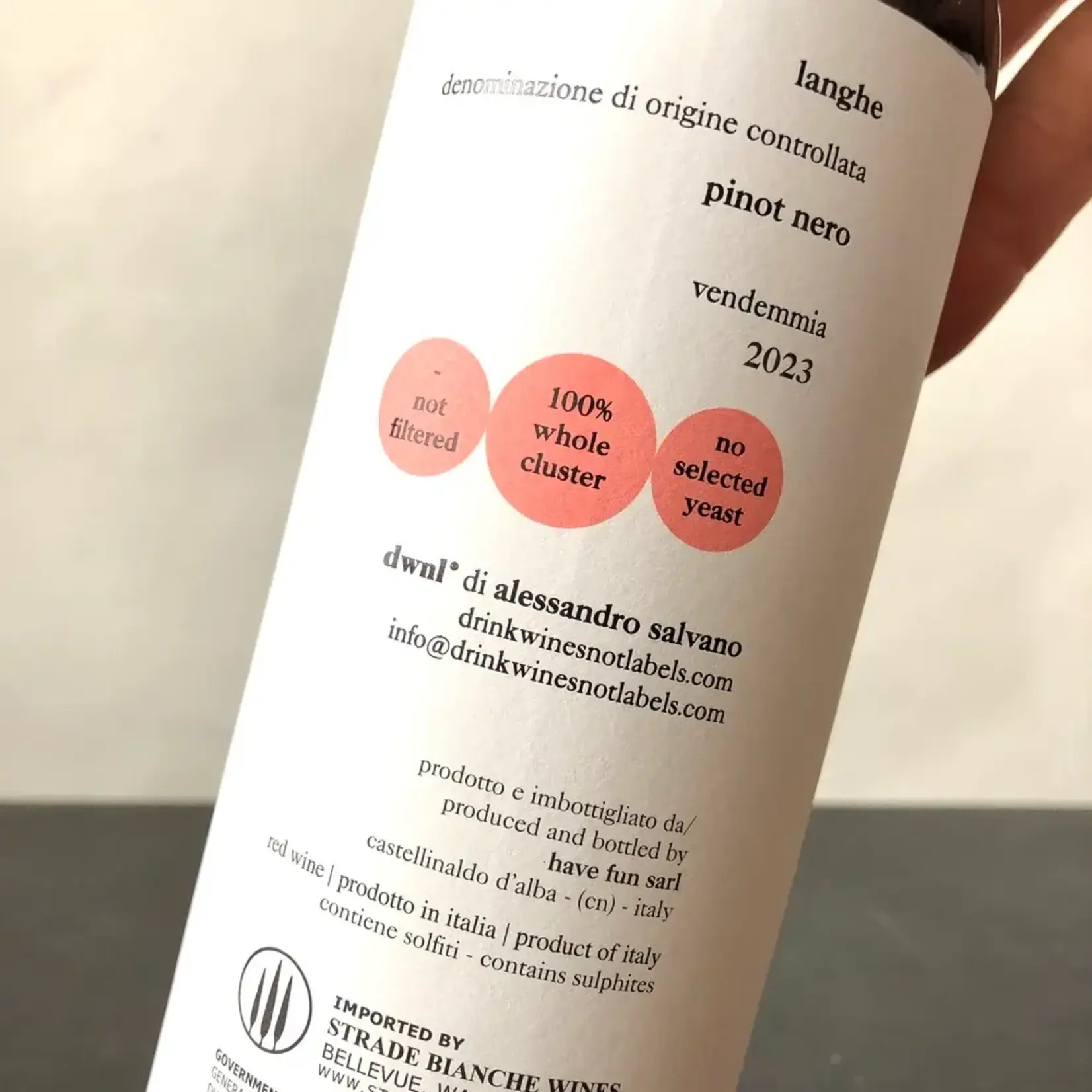 Wine Alessandro Salvano Drink Wines Not Labels Pinot Nero Langhe 2023