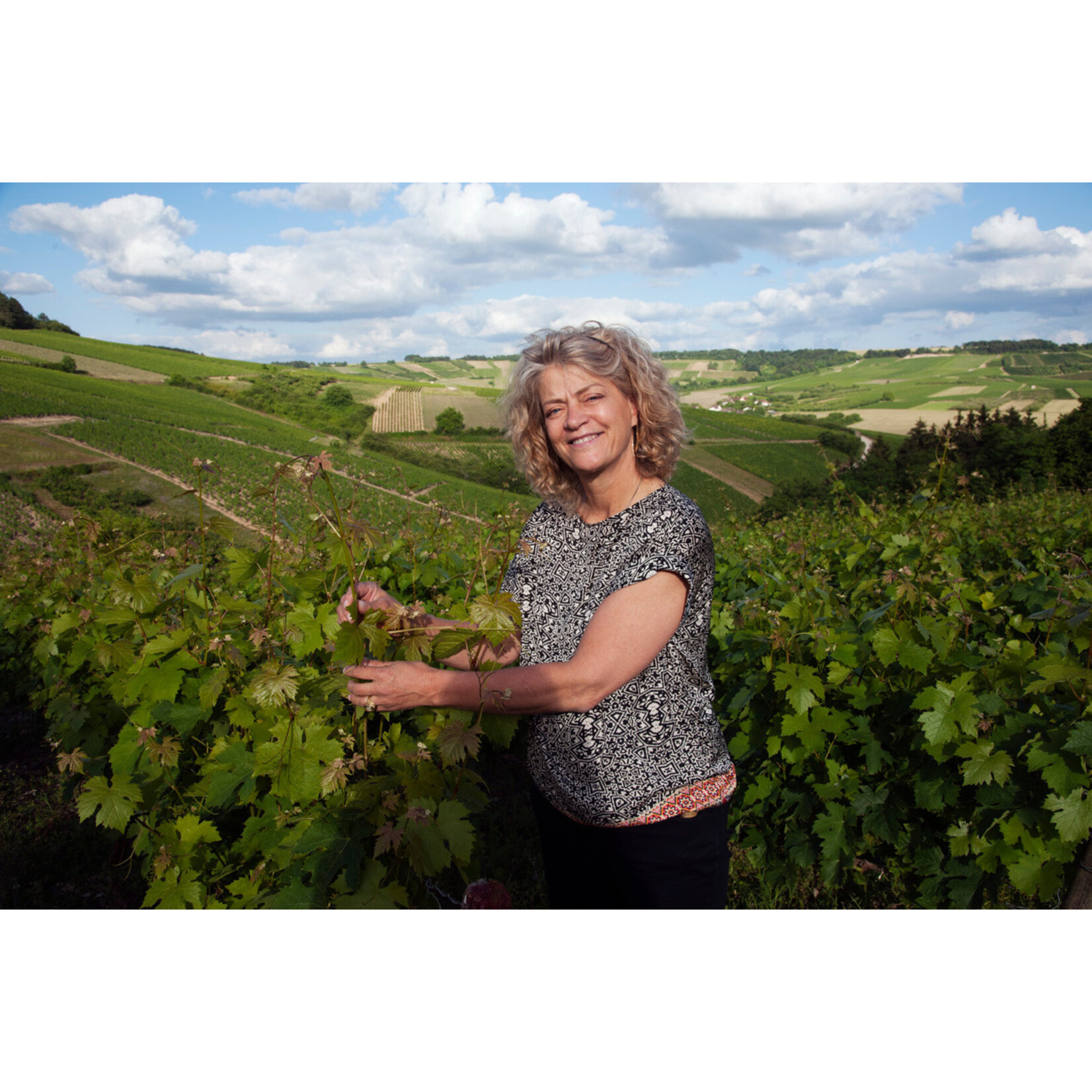 Wine Clotilde Davenne Petit Chablis 2023