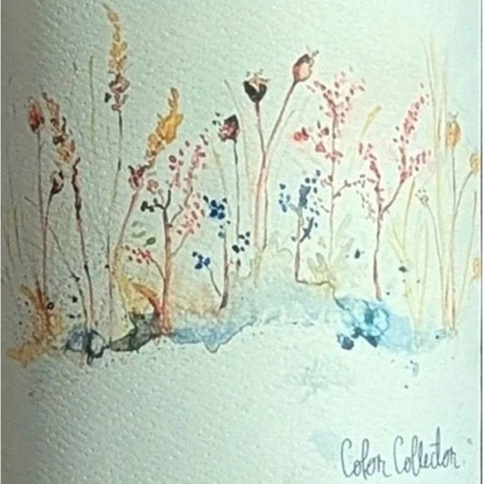 Wine The Color Collector Gamay Noir Columbia Gorge 2024