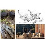 Wine Big Table Farm Pinot Noir Willamette Valley 2023