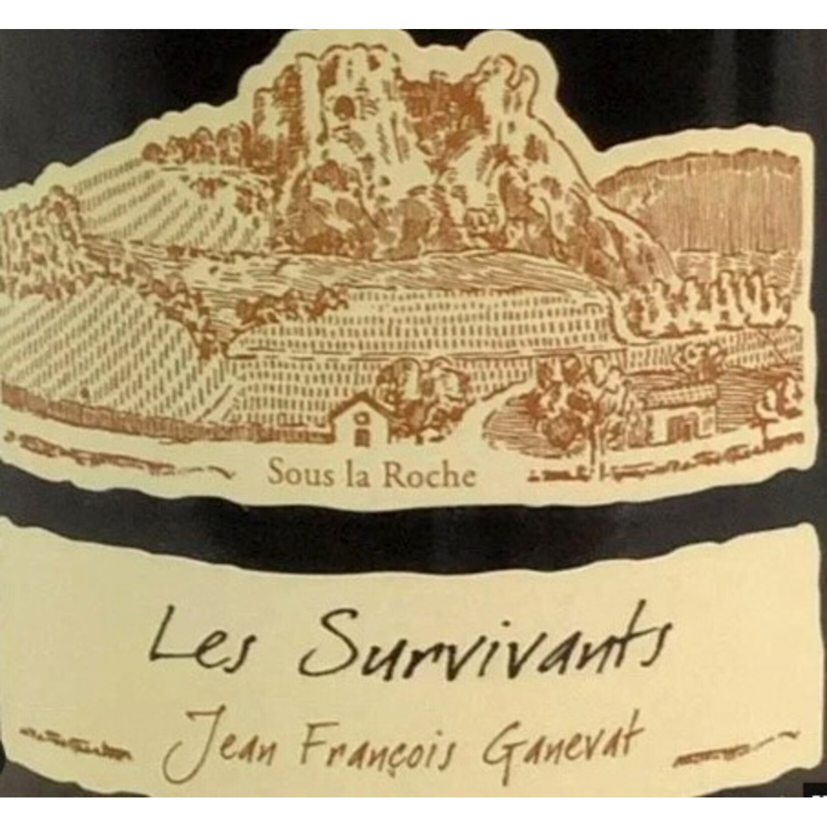 Wine Domaine Ganevat Cotes du Jura Blanc Chardonnay Les Survivants 2021
