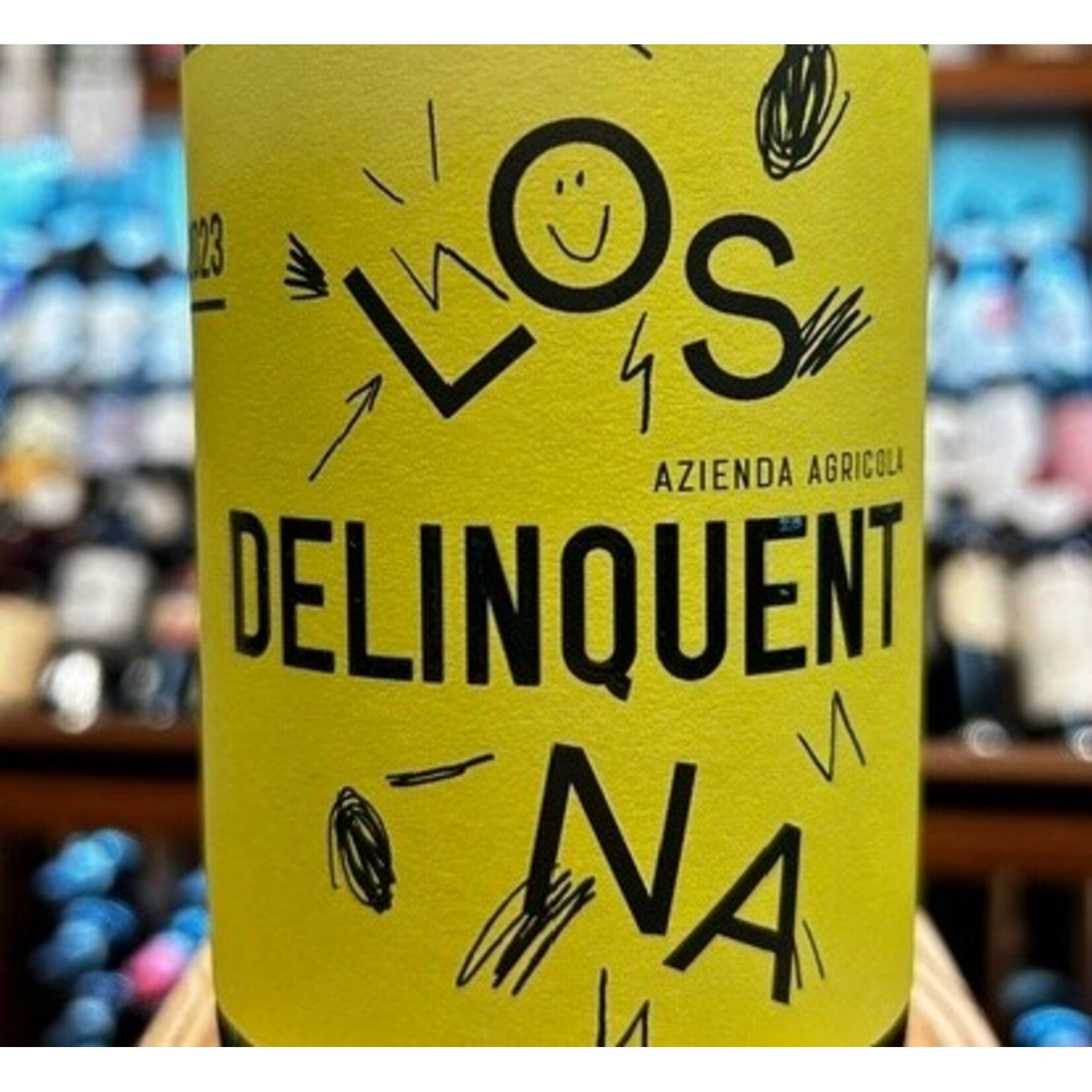 Wine Azienda Agricola Delinquent Vino Rosso Losna 2023