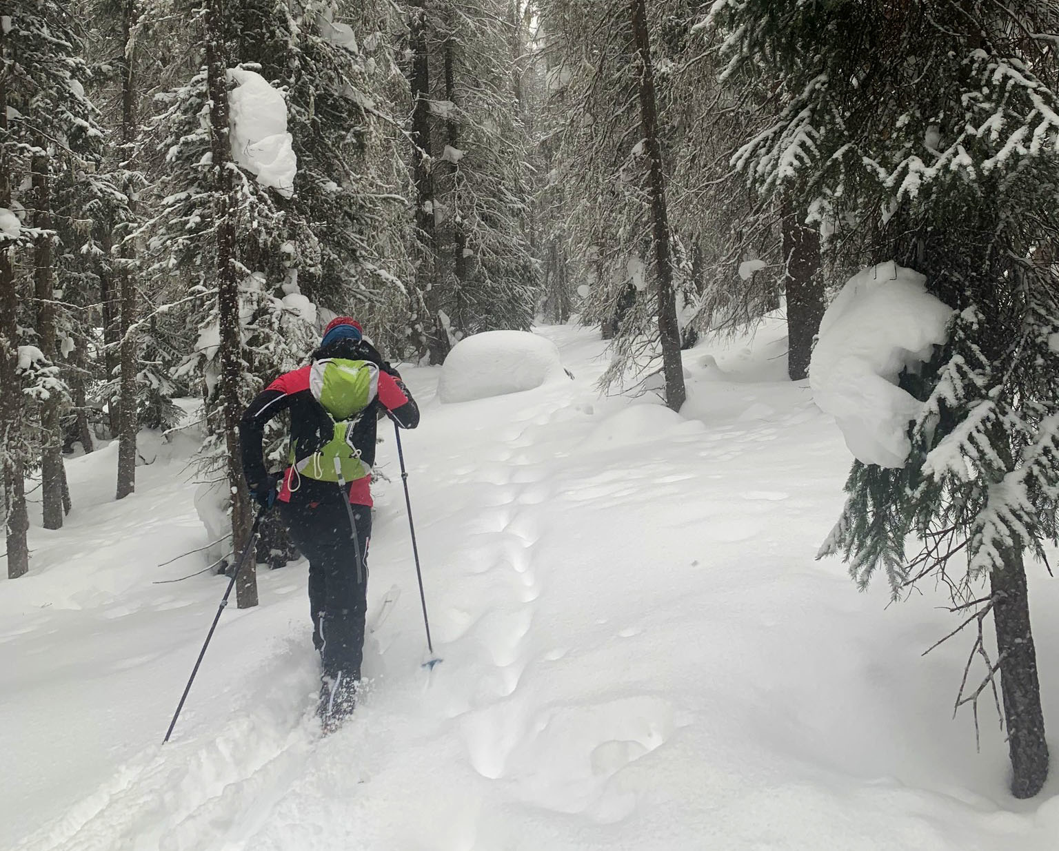 Half Day Backcountry Nordic Skiing