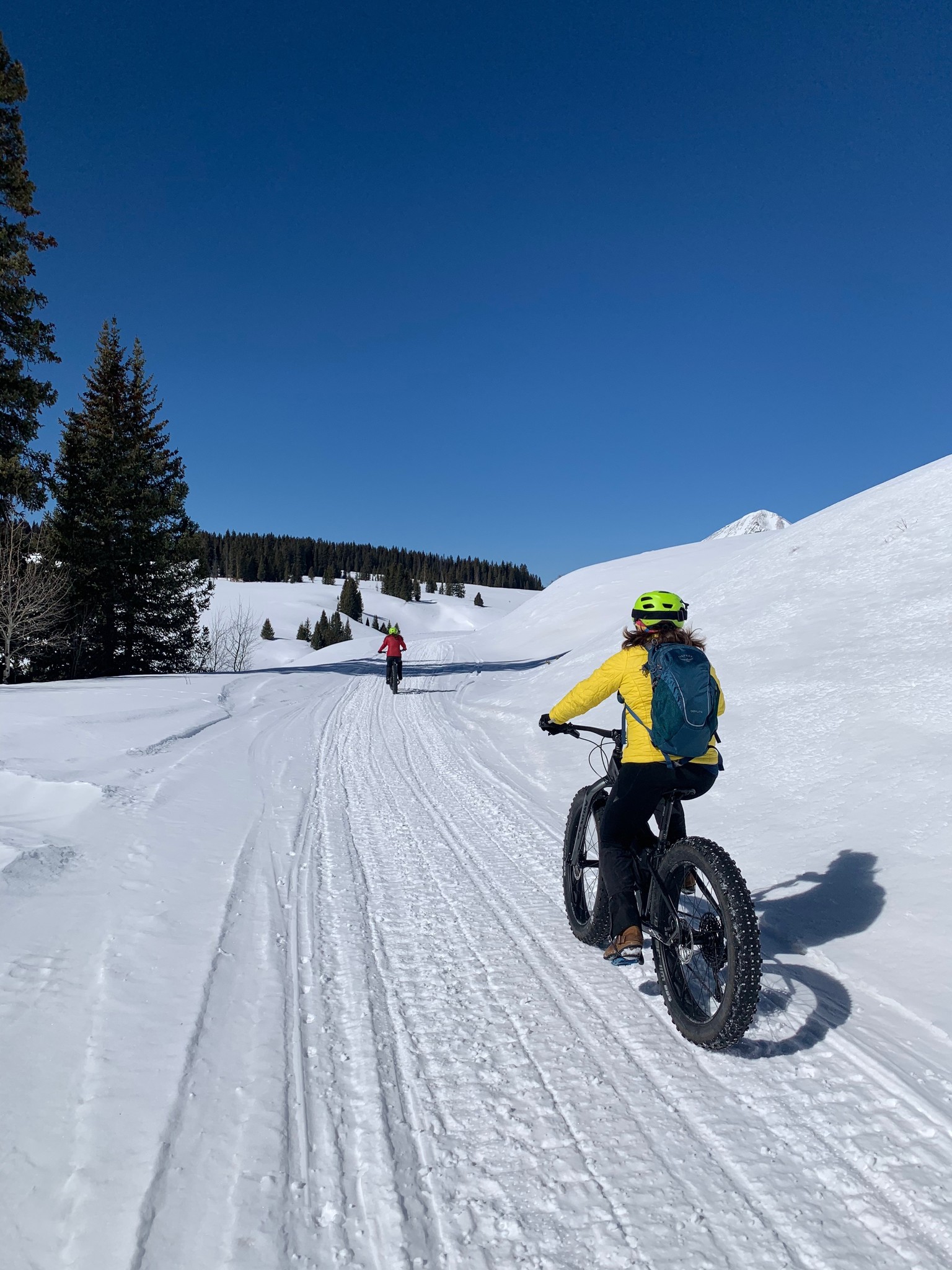 Fat Tire Half Day Bike Tour