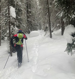 Backcountry Nordic Skiing Full Day