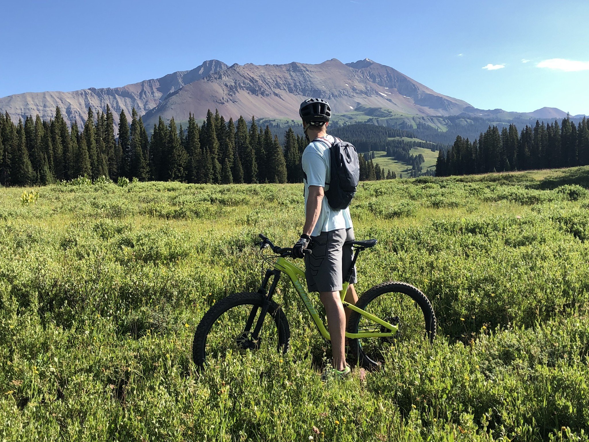 Half Day Mountain Biking